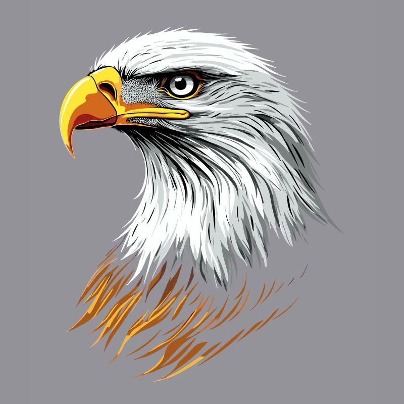 Eagle Bald Eagle Golden Eagle White-tailed Eagle