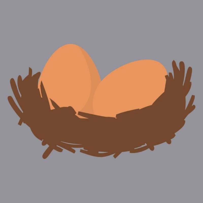 Eggs Nest Egg Easter