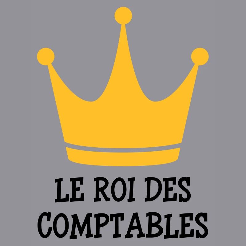 Accountant / Accounting / Comptable / Comptabilité