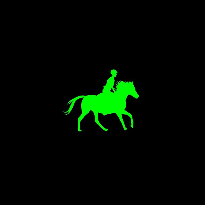 Reiten