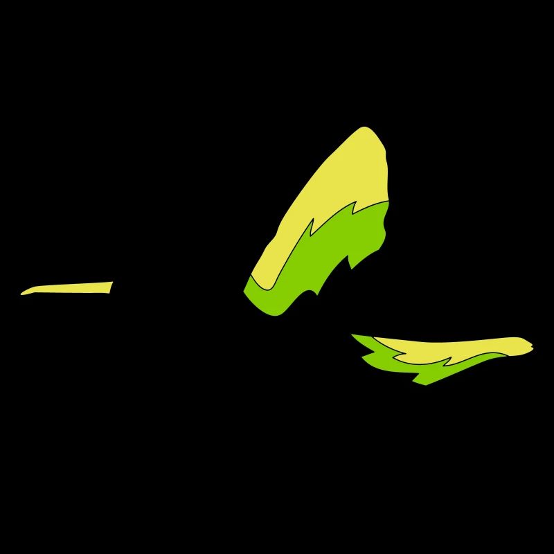 kolibri bird