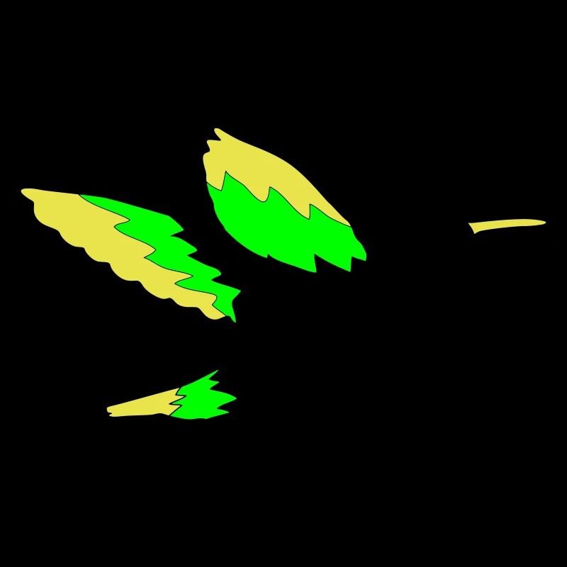 Colibri 01