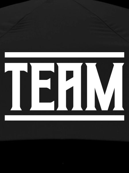 Team 01