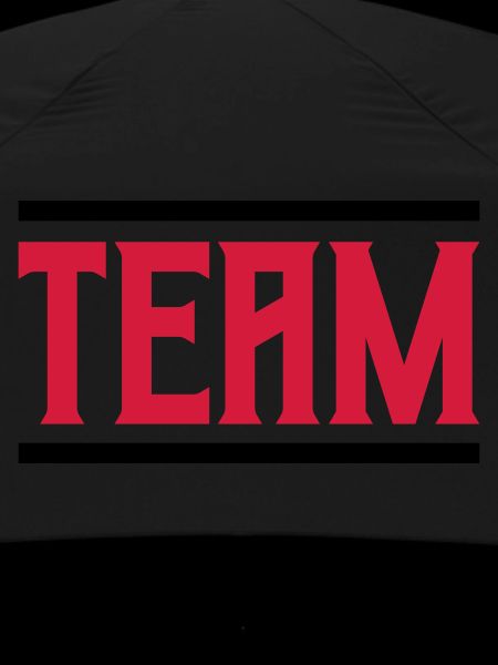 Team 01