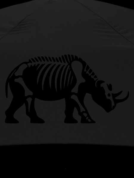 Rhinocerocer