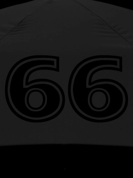 66
