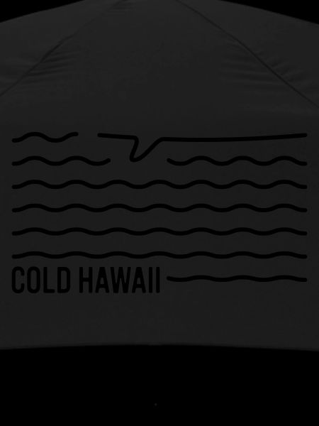 Cold Hawaii Surfboard