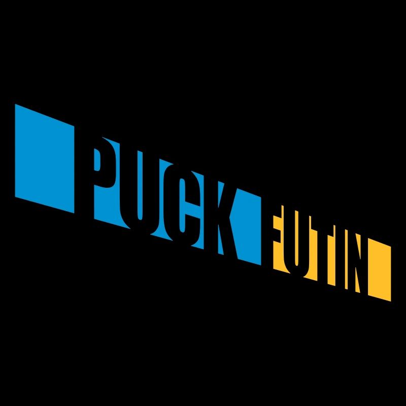 Conception du logo Puck Futin