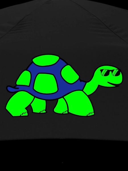 cool turtle