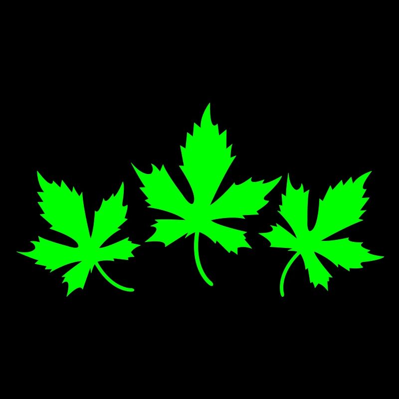 feuilles
