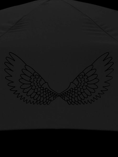 Open wings with feathers