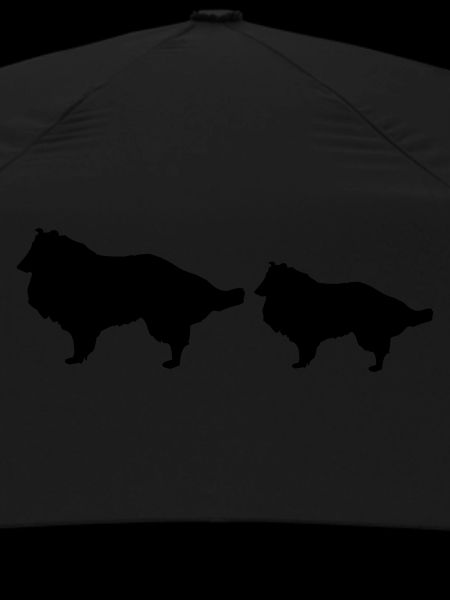 Canine