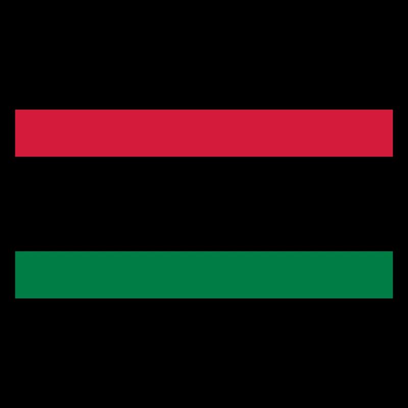 Libyen Flagge / Drapeau Lybie