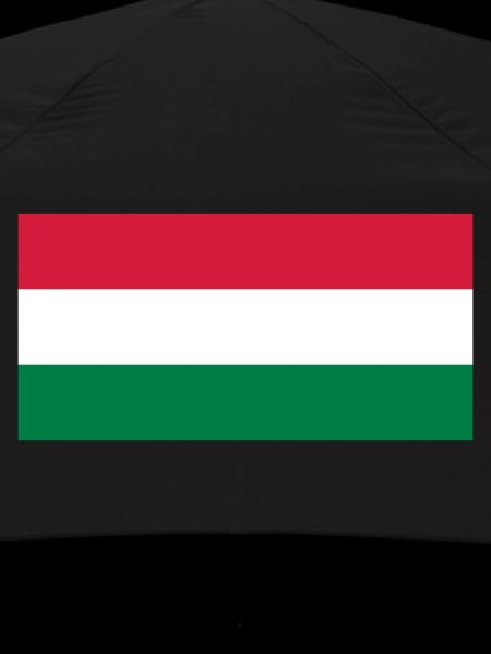 Hungary flag / Drapeau Hongrie
