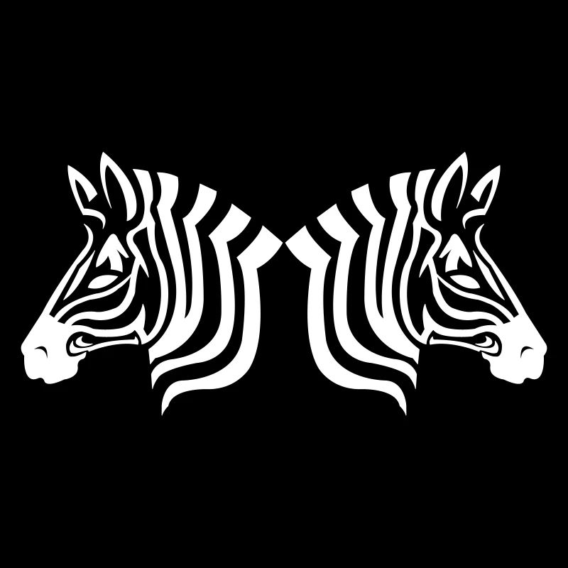 zebras