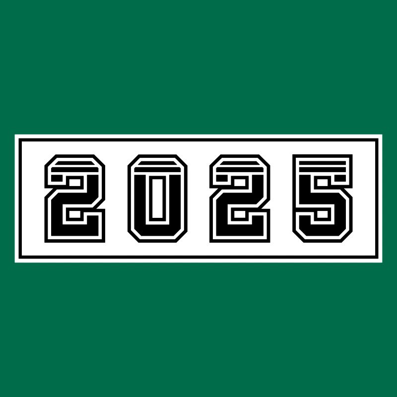 2025 year