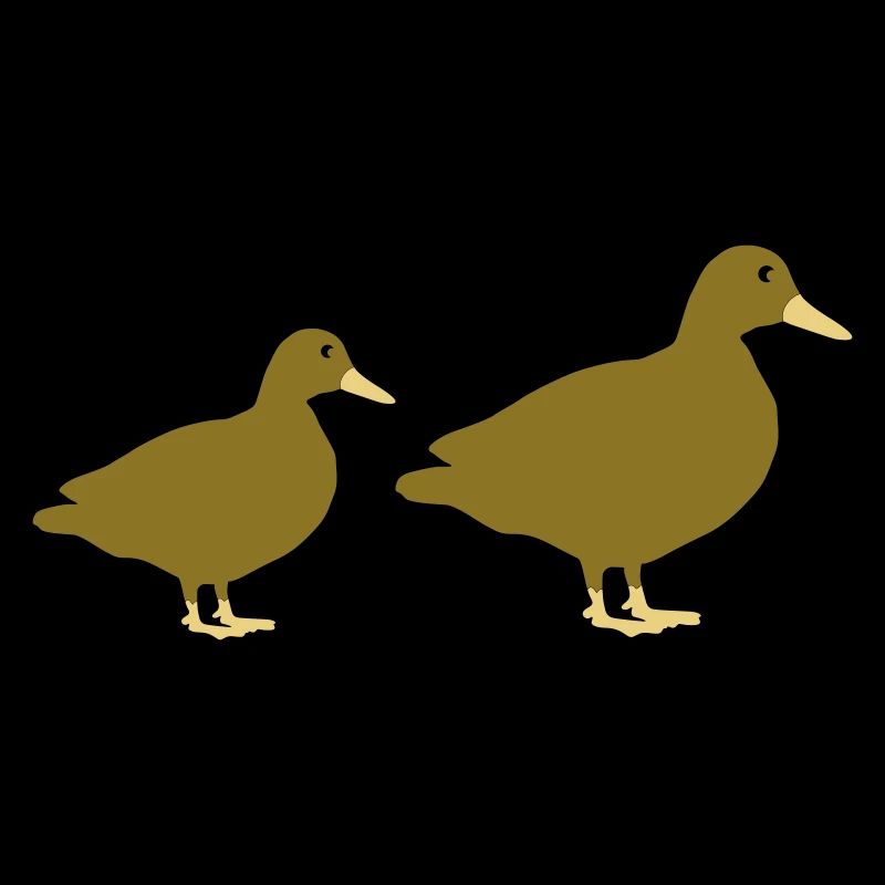 Canards