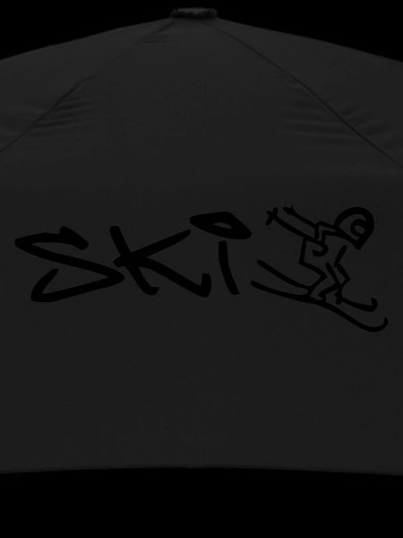 Winter Ski Downhill