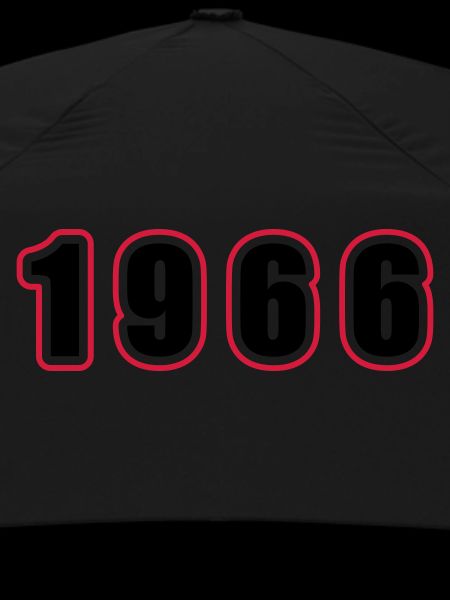 1966 Year Birthday