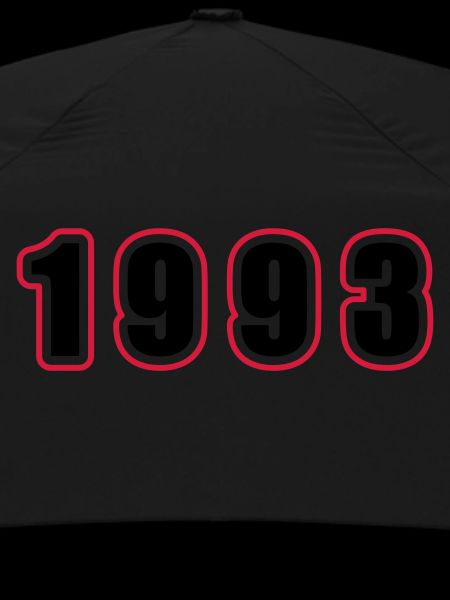 1993 Year Birthday