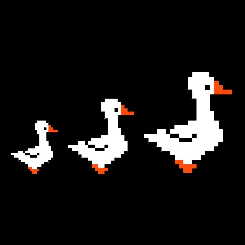 Canards pixellisés