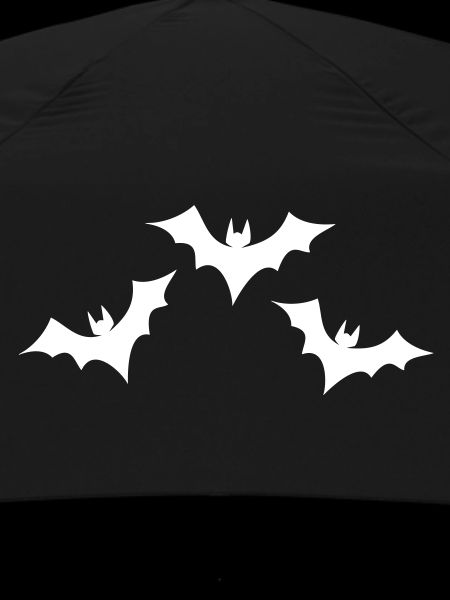 Fledermaus Formation