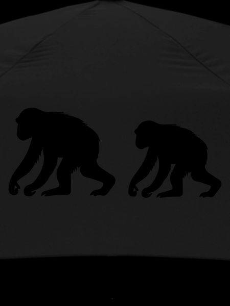 Singes