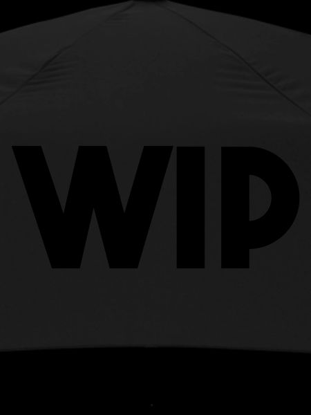 WIP