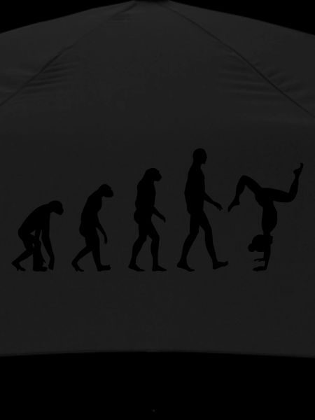 Yoga Evolution
