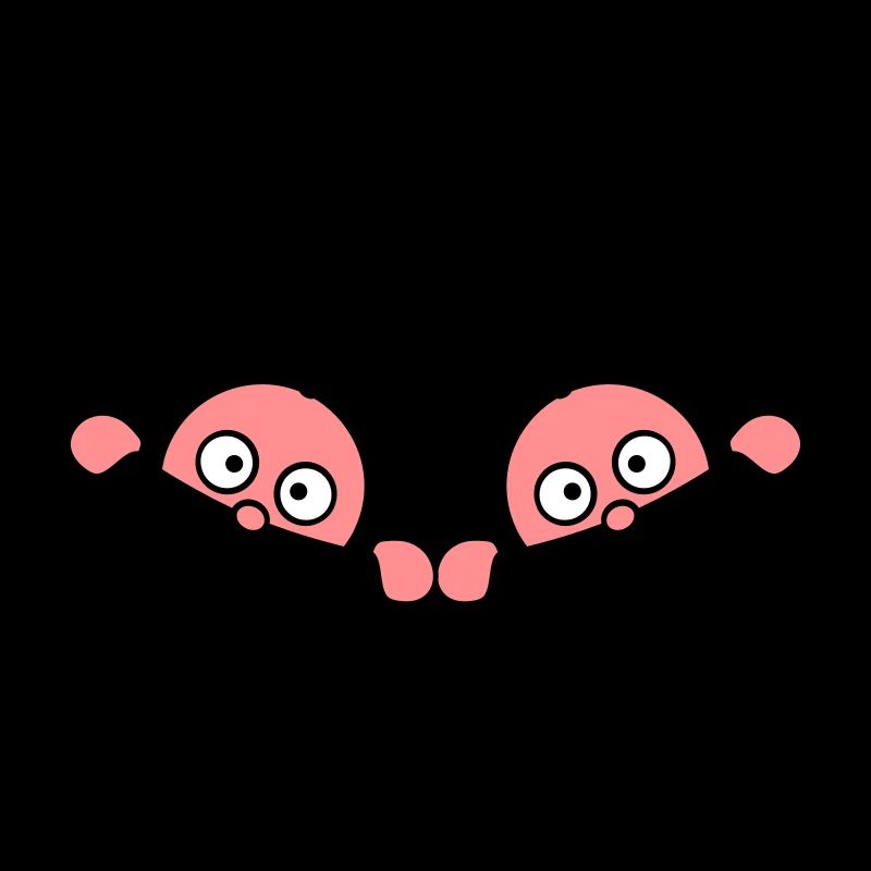 Twins Inside Zwillinge 2 Babys Schwanger Bauch