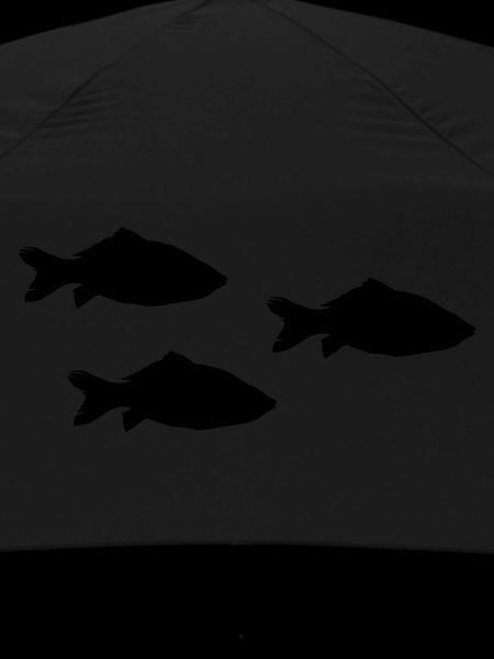 Poissons