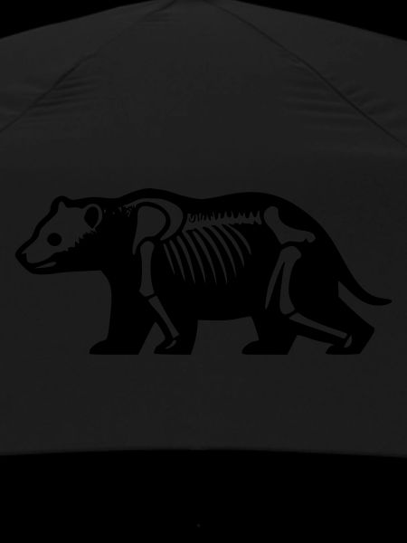 Skeleton Bear