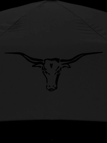 longhorn