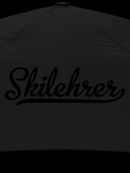 Ski instructor