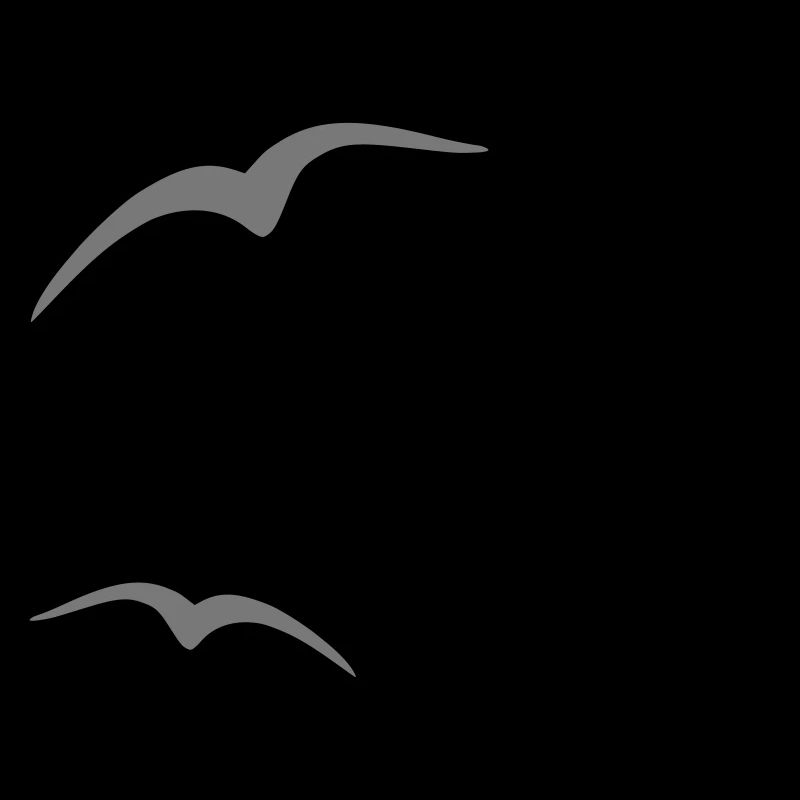 Vogel 3