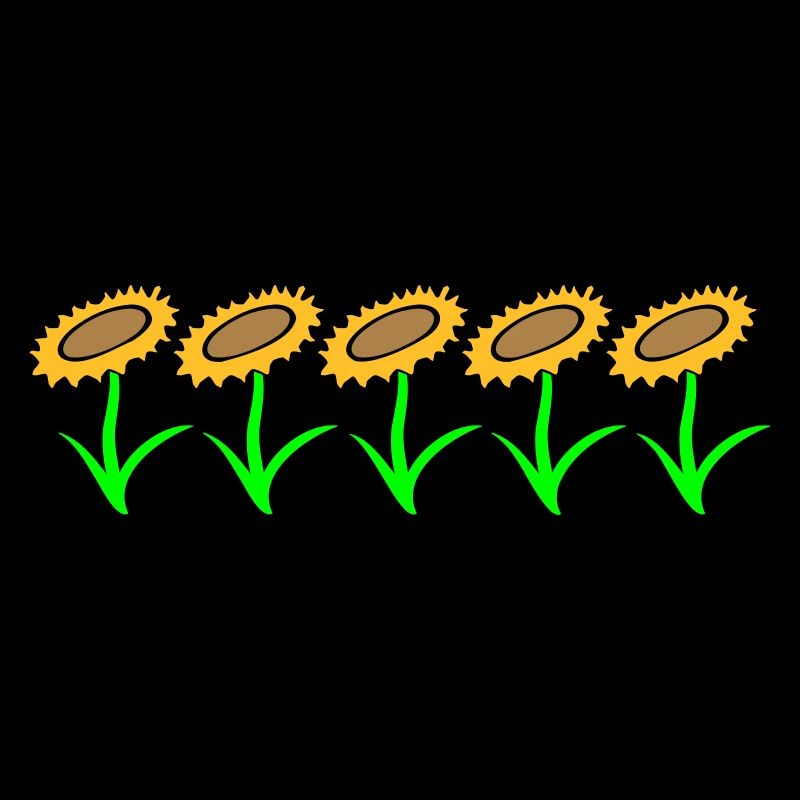 Many Small Sunflowers Sun Five Flowers Row