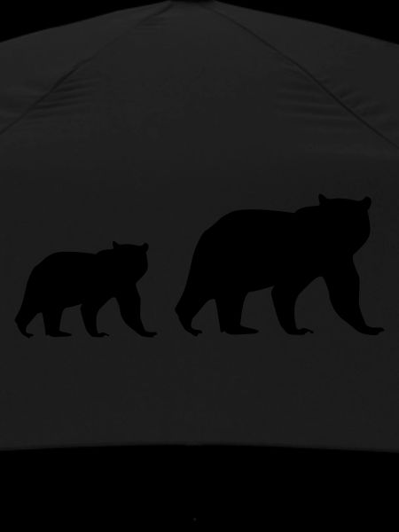Ours