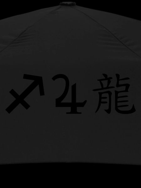 Sagittarius Jupiter Dragon