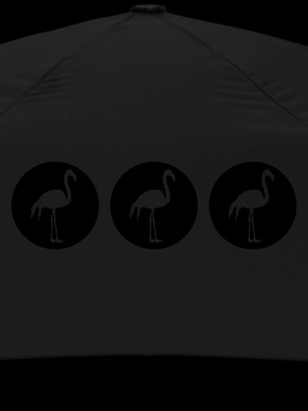 Flamingos Design