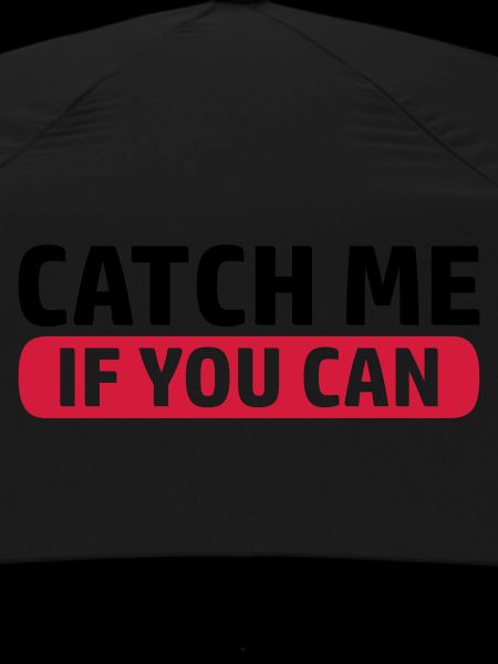 Game Catch Me
