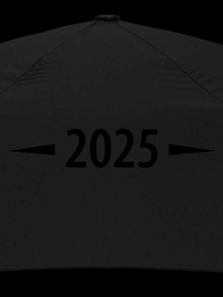 2025