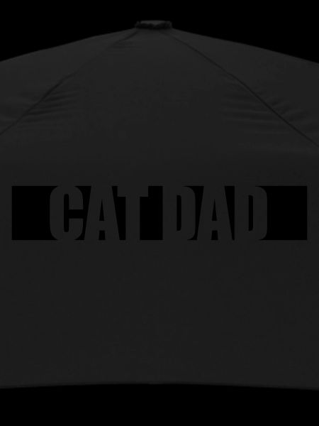 Cat Dad Stripe Design