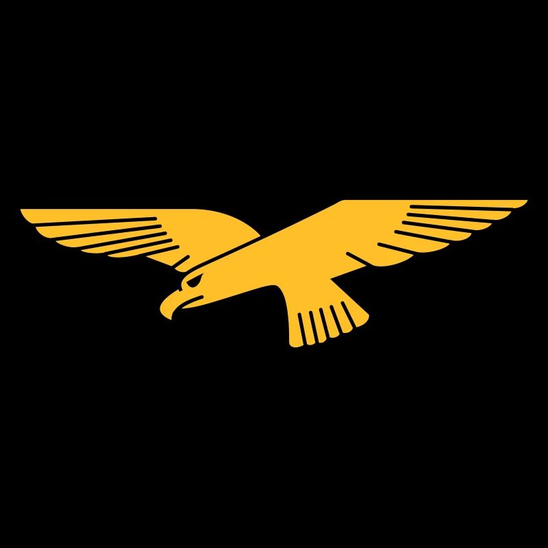 Armée de l’air