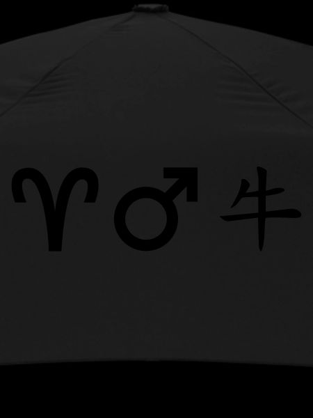 Aries Mars Ox