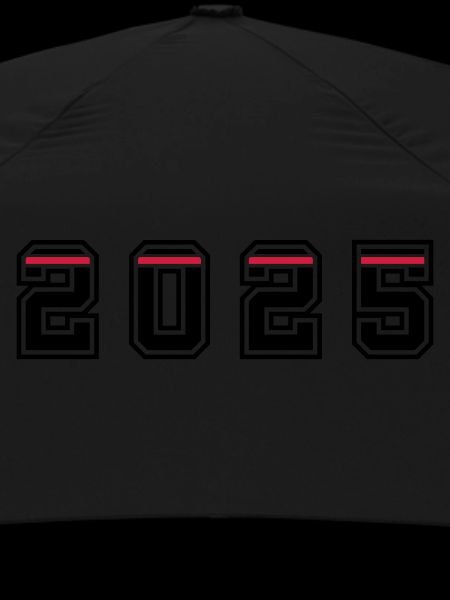Année 2025