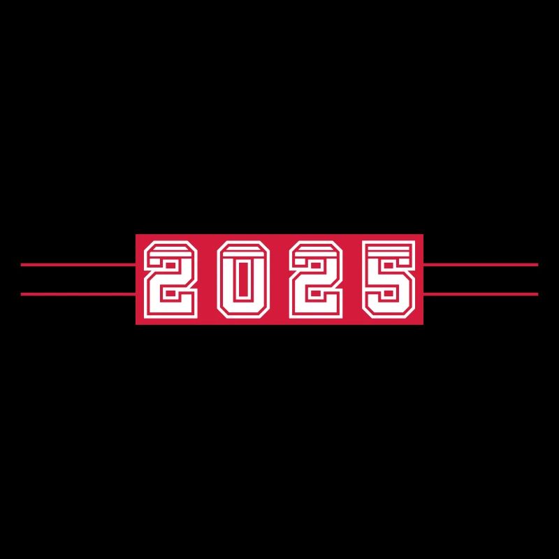 2025 year