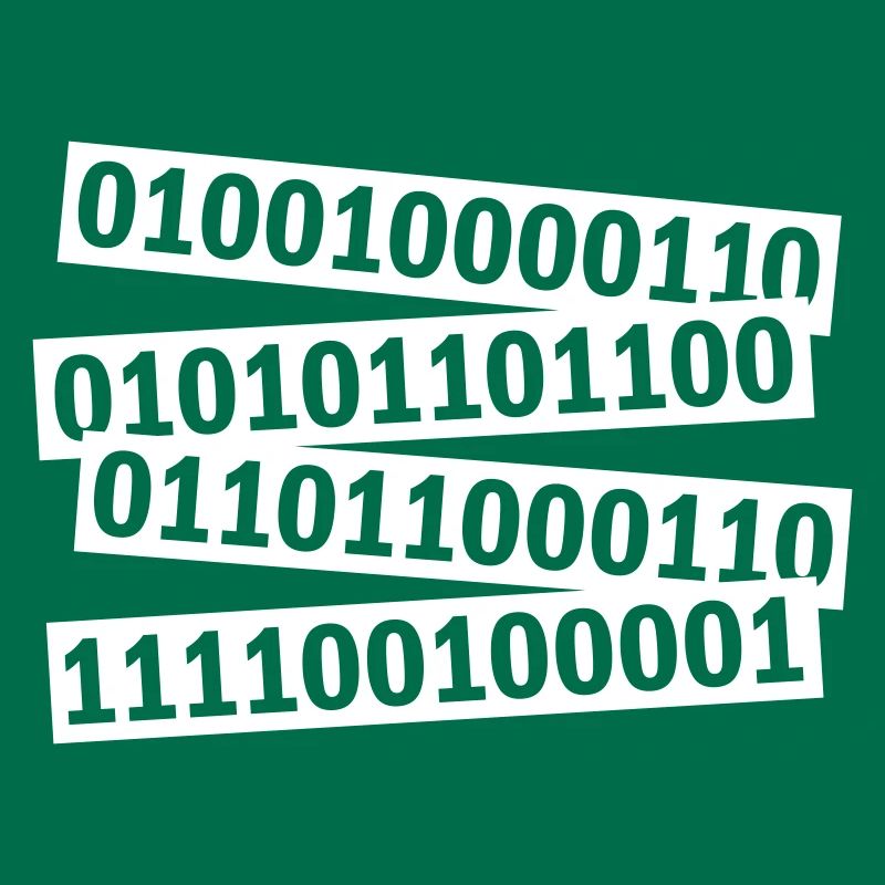 Langage de programme de code binaire