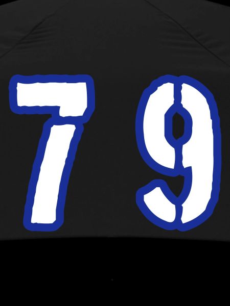79 Number Symbol