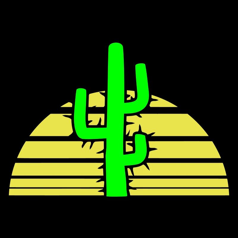 Cactus, Soleil, Épineux, Nuit, Désert, Coucher de soleil