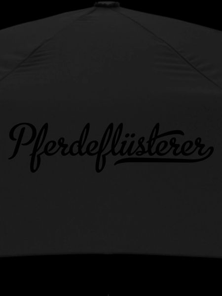 Pferdeflüsterer